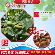 |ľN N ²ľN N O ɹř