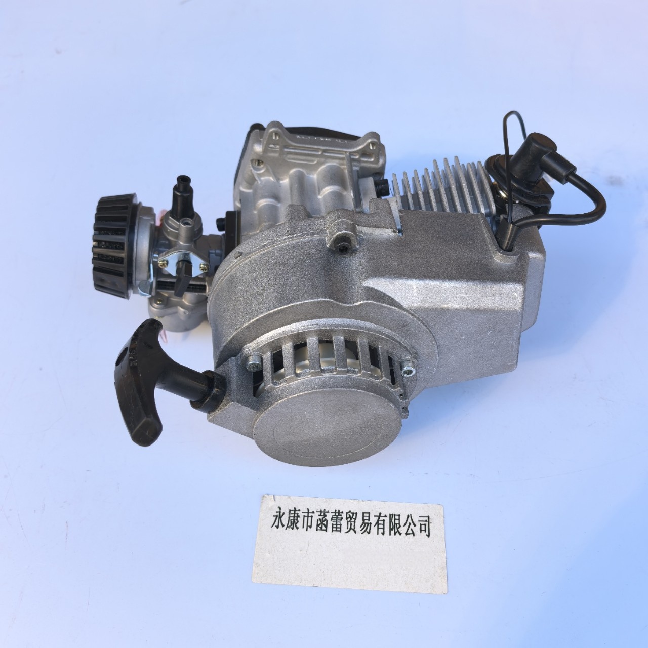 Origin and Supply Manufacturer Direct Sales New Mini Motorcycle Engine Gasoline Engine Two-Stroke 49Cc