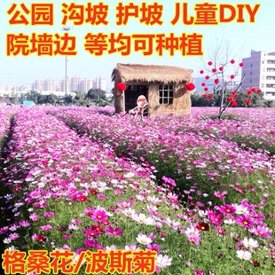 ��˹�ջ��Ѹ�ɣ�����N�����ļ����N�_���҃����׷N��Ұ���M�ϷN��