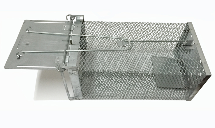 페달식 단문 쥐덫 쥐덫은 쥐덫보다 안전합니다