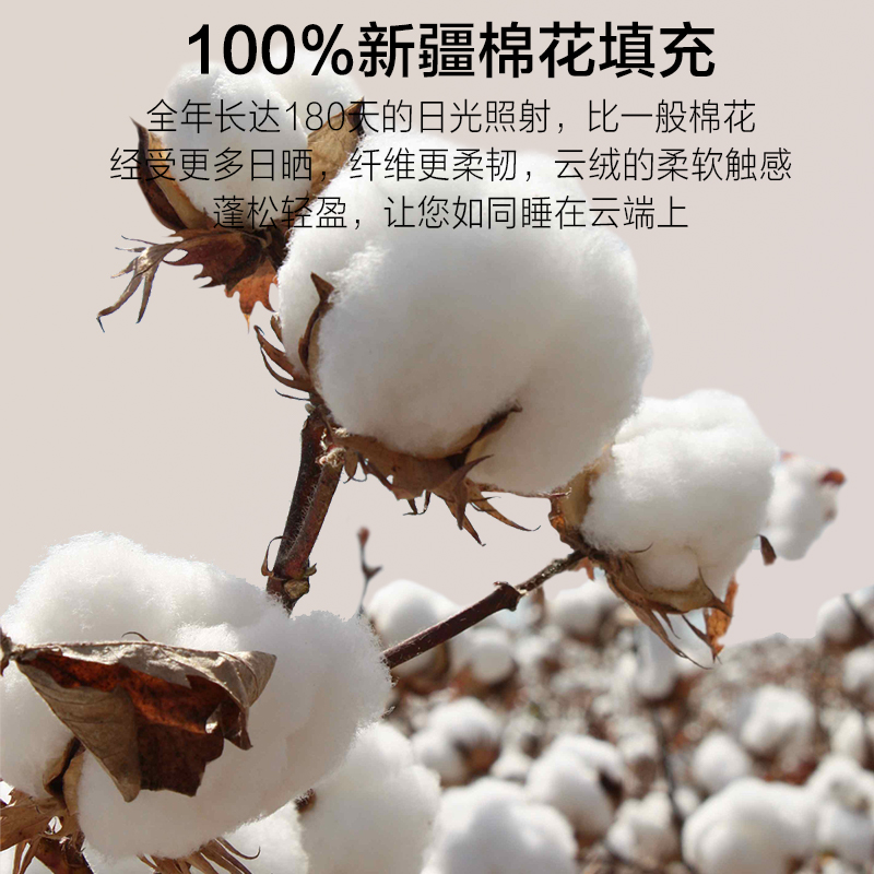 海澜之家冬被新疆纯棉花被子被芯秋冬天棉被棉絮冬季加厚保暖被褥