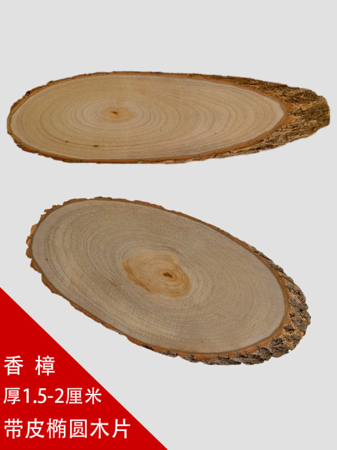 香樟椭圆带皮年轮原木片香气招牌DIY彩绘画装饰门牌挂牌模型底座