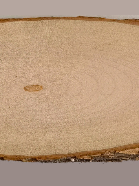 香樟椭圆带皮年轮原木片香气招牌DIY彩绘画装饰门牌挂牌模型底座