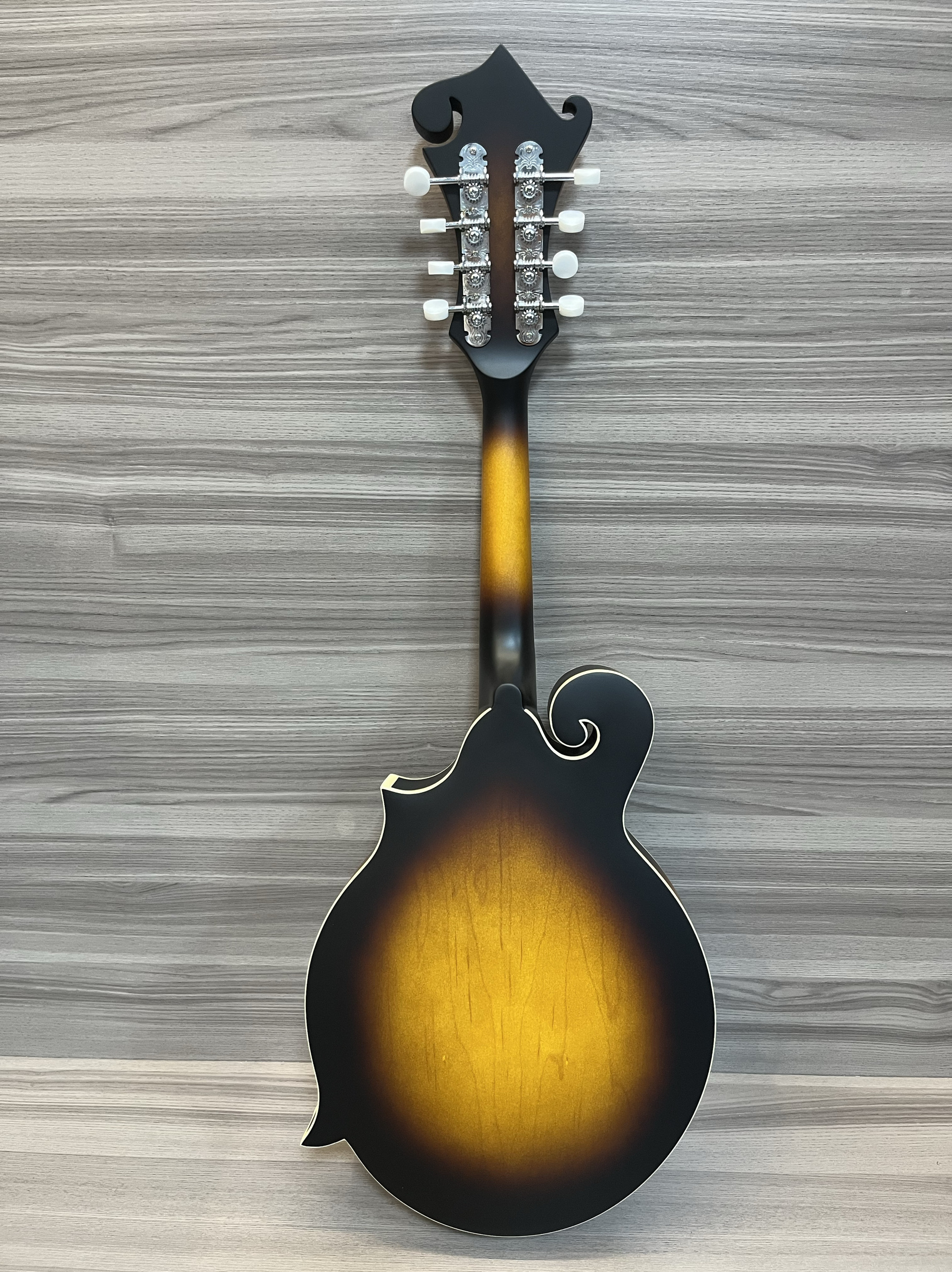 KINGHORN 만돌린 F형 전자 및 뮤지컬 무광택 특수 면 가방 연결 케이블 포함