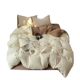Four-piece set of bed e sheets and bed fittings wash cotton all cotton spring and autumn student dormitory three-piece set of bedding 4