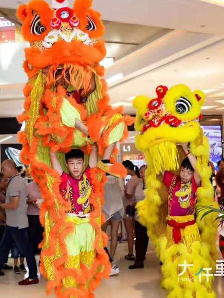 醒狮南狮舞狮道具羊毛龙灯羊毛南狮羊毛醒狮道具正宗醒狮假一赔十
