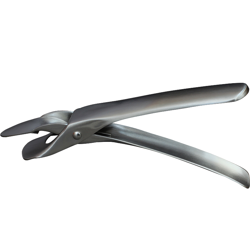 304 스테인레스 스틸 가정용 TAISHAN 클립 ANTI-SCALDING 클립 잡아 그릇 플레이트 클램프 미끄럼 방지 주방 클립 플레이트 리프터