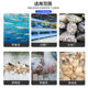 加厚饲料搅拌机拌料机大型养殖场50-500KG喂鱼膨化塑料颗粒饲料机