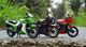 Qingdao Club 1 12 Kawasaki Kawasaki Ninja GPz900R Motorcycle Model Collection Gift Ornaments