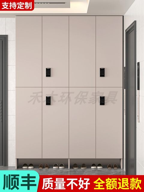 门口鞋柜室外过道电梯口带锁储物收纳柜一体靠墙2025新款外走廊柜