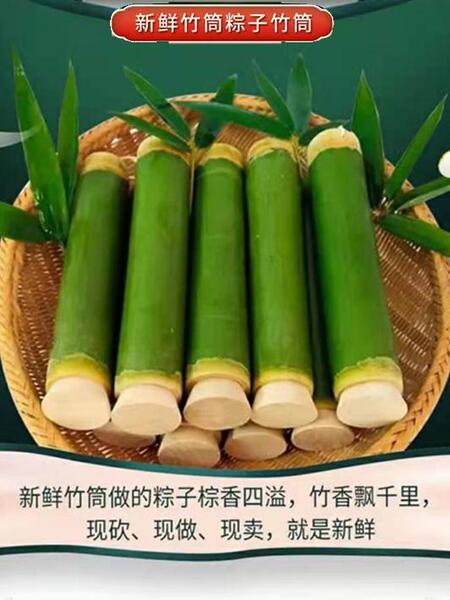 新鲜竹筒粽子模具家用竹桶饭蒸制作做的摆摊商用现专用糯米饭神器