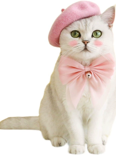 Бархатный чокер с бантиком, колокольчик, регулируемая галстук-бабочка, ожерелье, домашний питомец, кот