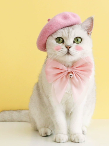 Бархатный чокер с бантиком, колокольчик, регулируемая галстук-бабочка, ожерелье, домашний питомец, кот