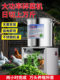 Multifunctional vegetable crusher feed crusher feed chickens, ducks, gooses and pigs breeding vegetable cutting machine household vegetable crusher