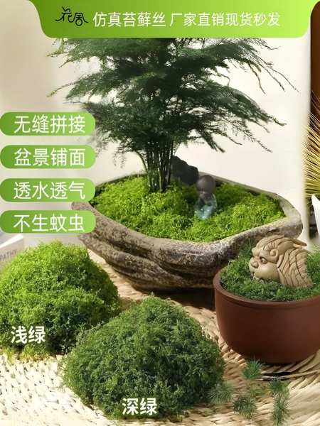 仿真苔藓 造景布置摆件 假青苔草皮铺面 盆景微景观装饰 永生苔藓