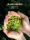 Наконец-то я нашел зеленый чай, произведенный чайным мастером, с нежным желтым цветом и изысканной упаковкой! mini 3