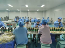 草本外用产品消费趋势与备货选品方向