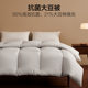 Hailan Home College Door Bed Three-piece Pure Cotton Full Cotton Single Bed Sheet Quilt Cover Bedding Four-piece Set Six