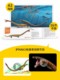 PNSO Dinosaur Xiao Chong Dinosaur King Growth Companion Model 91