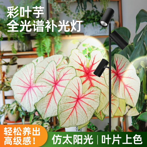 植物补光灯彩叶芋全光谱仿太阳光多肉室内家用养花绿植专用生长灯