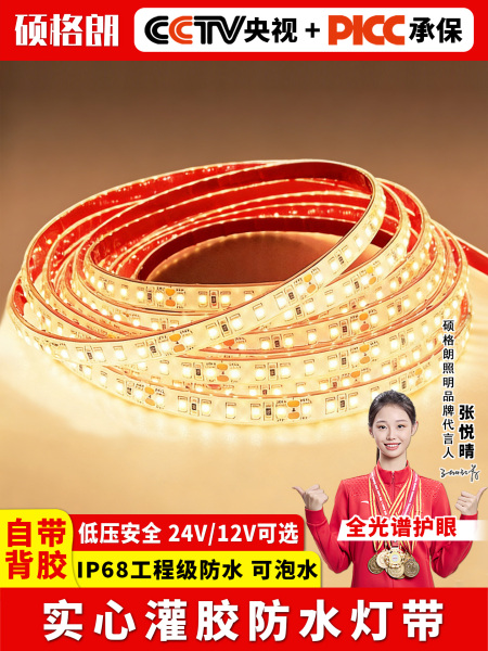 防水led灯带12v24v灌胶自粘户外庭院台阶水池工程亮化泡水下灯条