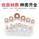 Copper and aluminum wire nose national standard thick copper and aluminum joint transition connection cable connector DTL10-630 terminal