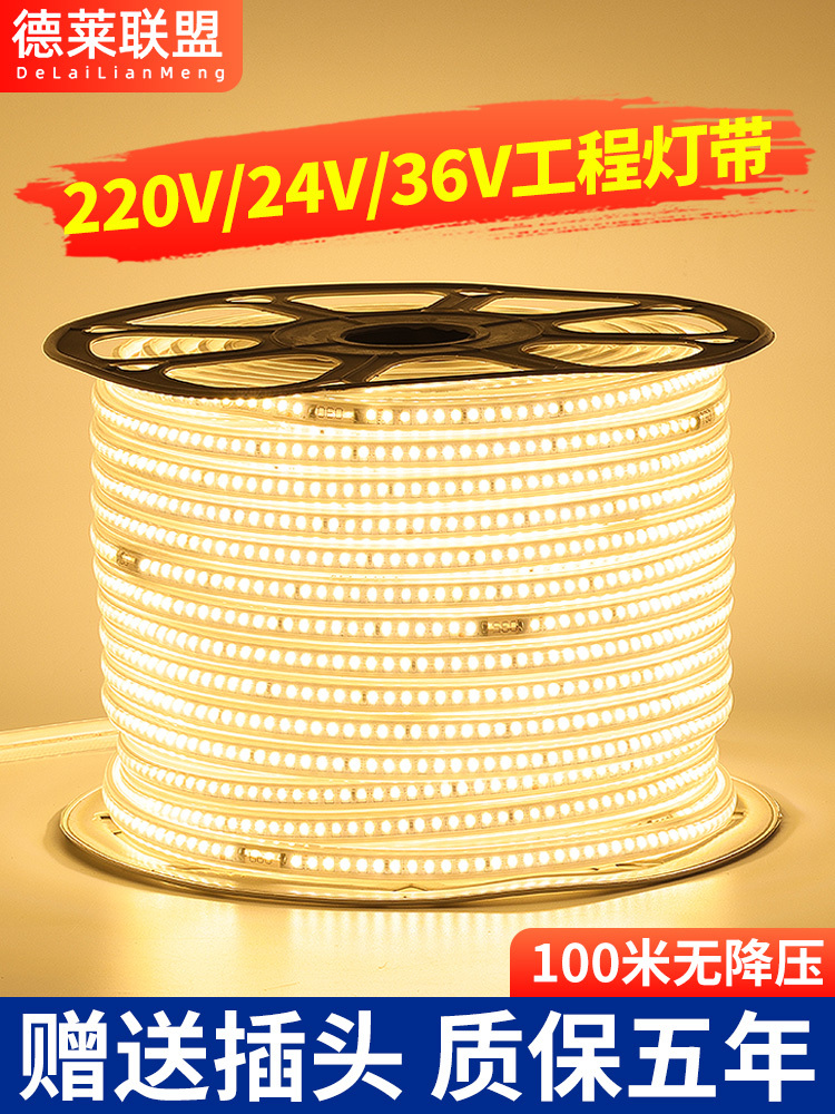 灯带led灯条客厅吊顶白光金黄超亮户外防水室外酒店KTV暖黄光220V