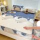 Printed thickened latex cool mat bed cover three-piece set cool air-conditioned mat student dormitory bed sheet double summer