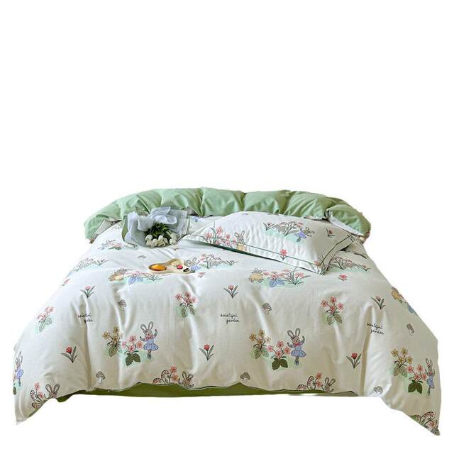 New Class A Thickened Furry Quilt Cover Student Dormitory Fresh Pure Cotton Bed Sheets Quilt Cover Pillow Cover Live Broadcast