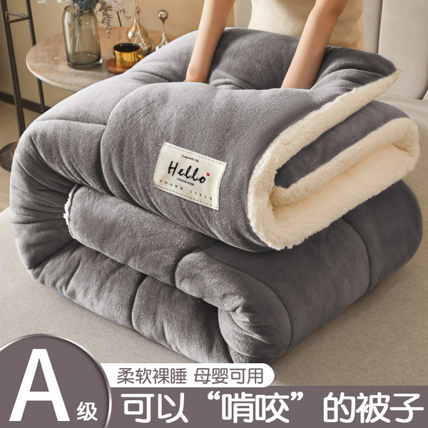 牛奶绒羊羔绒毛毯加厚保暖秋冬季被子被芯午睡毯子棉被冬被春秋被