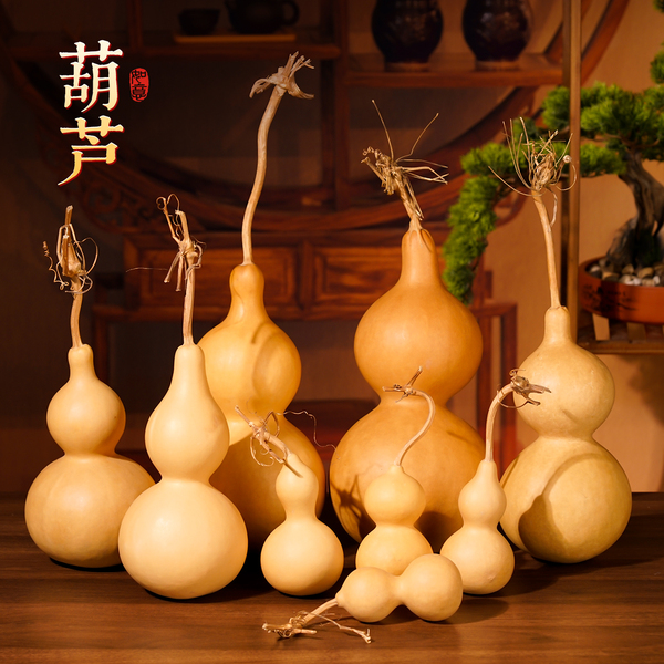 天然葫芦摆件真葫芦龙头玄关客厅卧室书房招米门对门批发文玩葫芦