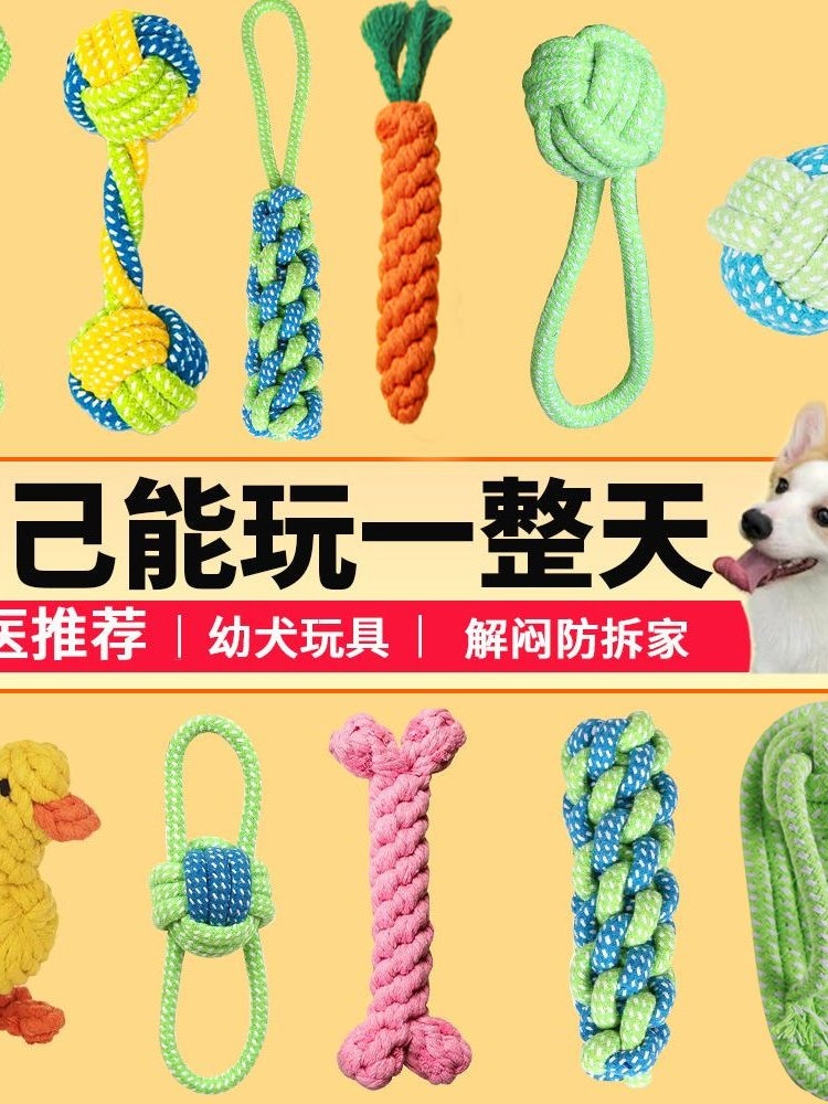 Игрушка для домашних собак self-hey toy молярная палочка, устойчивая к укусам, плюшевый щенок Бишон, узелковая игрушка-головоломка для маленьких и средних собак Изображение 1