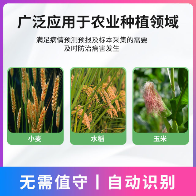 Wheat gibberellosis monitoring instrument pest and diseases aphids aphids white powder gibberellosis wheat stripe rust monitoring station