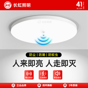 Changhong Lighting Led Sensor Ceiling Light for Stairs, Hallways, Corridors, Infrared Human Body Radar Sensor, Smart Voi