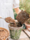 Tasha's garden gardening tools set for three-piece household small shovel rake easy to store vegetables and loosen soil