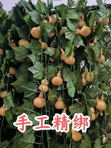 天然小葫芦仿真葡萄藤家居装饰管道缠绕遮丑商铺布景空调管道遮挡
