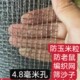筛沙子筛灰04孔 06孔轧花网蚯蚓网铁丝网钢丝网编织网筛网粮仓网