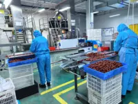 Làm thế nào để ghi nhãn thông tin về chất gây dị ứng cho các sản phẩm trái cây sấy khô? Những biện pháp kiểm soát nào cần được xác nhận khi mua hàng từ các nhà cung cấp như Shaanxi Meinong?