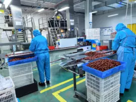采购0添加食品时,配料表中的隐藏成分怎么识别和核实