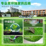 Пластиковый реалистичный зеленый ковер для детского сада