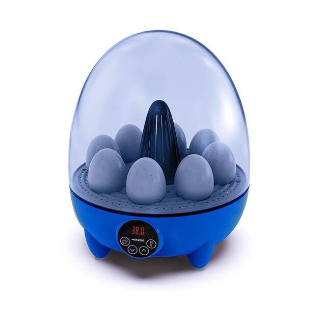 WONEGG新品漪蛋孵蛋器孵化机小型家用迷你养殖设备厂家货源孵化