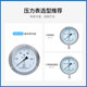 Suzhou Xuansheng Y150 1.6MPa Ordinary Pressure Gauge Steam Water Pressure Oil Pressure Gauge Spring Tube Pressure Gauge