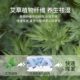 New mosquito repellent mat 2025 mugwort mother-child grade straw mattress sheets student dormitory ice silk health rattan mat