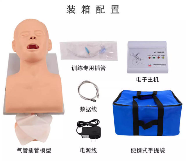 J5S成人气管插管模型 电子人体气管插管训练模型（带报警）医学用