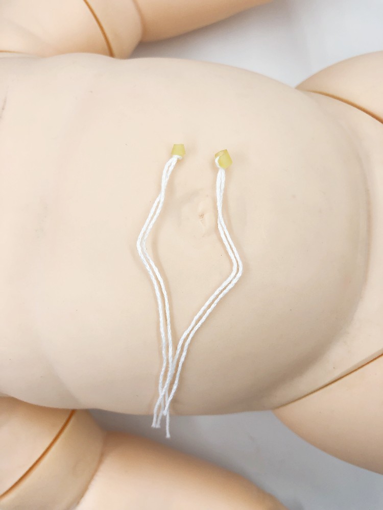 결찰 라인 밸브 코어 2개 팩 일회용 제대 결찰 라인 제대 결찰 라인