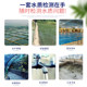 水质检测试剂盒养殖水体游泳馆鱼缸水族馆氨氮检测仪刻度比色专业