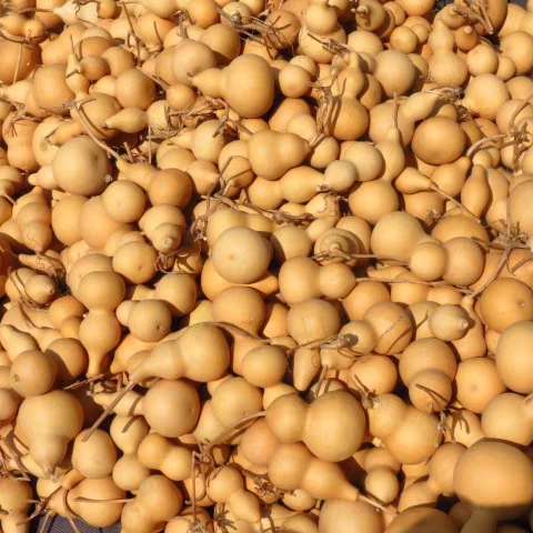 特色天然种植白皮葫芦车挂客厅手工饰品挂件带龙头手把件文玩葫芦
