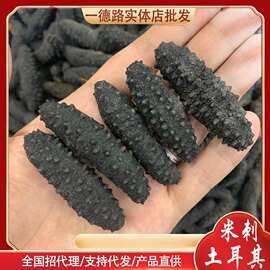 一德路批发土耳其纯淡干有刺米刺参 深海海参 刺参辽参辽宁大连参