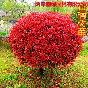 �t�~ʯ����Θ�����S��С�~Ůؑ�����ļ�����t����ͥԺ�G������