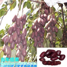 ܛ���J������ �����ļ�����Y���a��1̖�J���Ҙ�С���ϱ����Nֲ